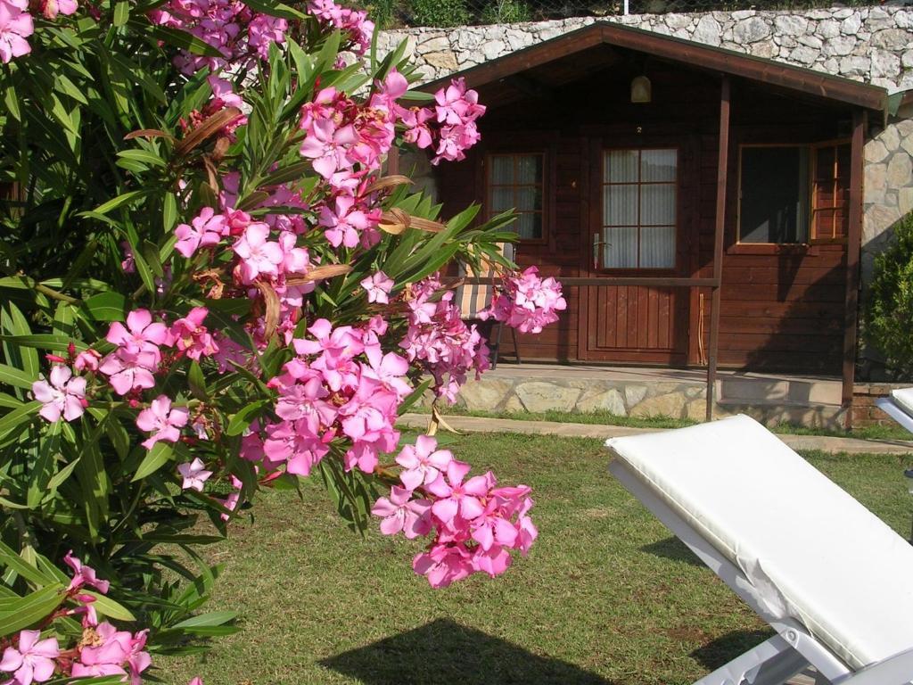 Onur Motel Faralya Extérieur photo