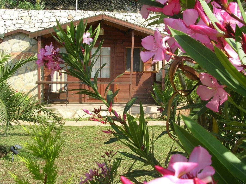 Onur Motel Faralya Extérieur photo